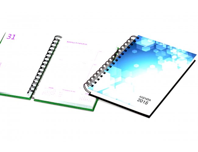 Agenda Diria Off-set (MB11500.1017)