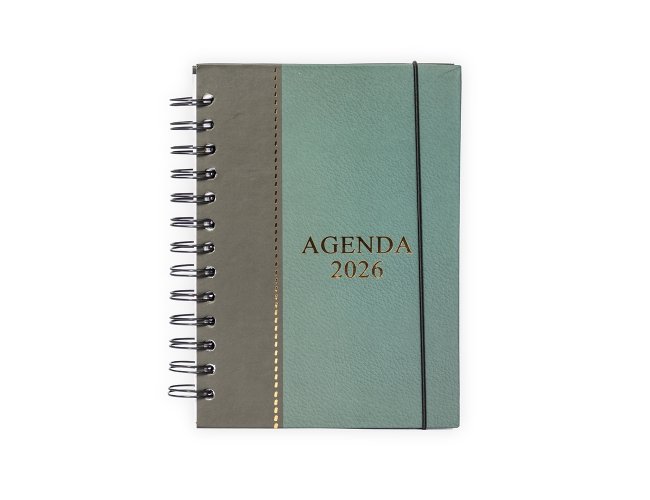Agenda Diria 18,9X15cm XB15336 (MB11484)