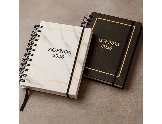 Agenda Diria 18,8x14,7cm XB15334 (MB11484)