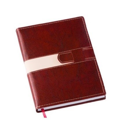 Agenda Diria com Fecho e Suporte para Caneta 14,5x20cm LG201L (MB12142)