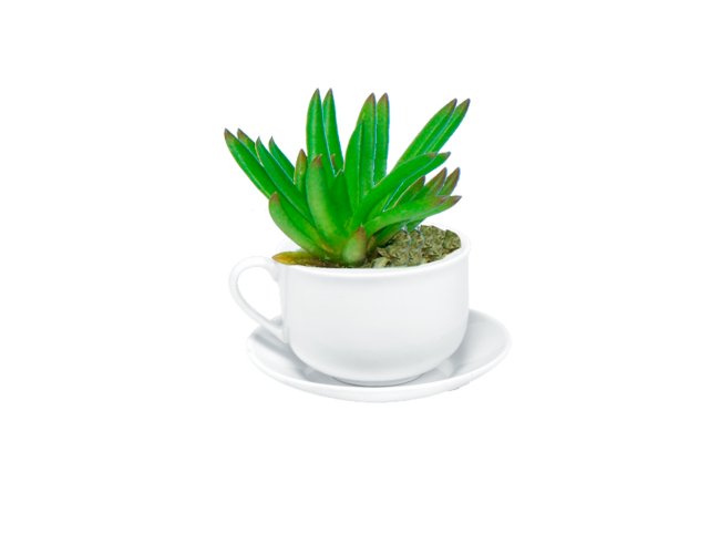 Xcara Para Plantar Muda BV30 (MB11706.0218)